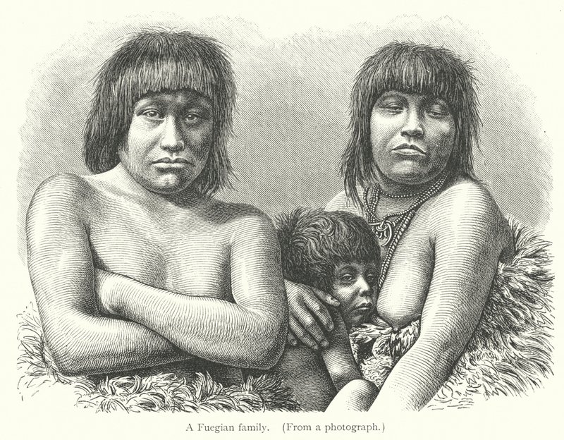 Uma família Fuegian (gravura) de European School