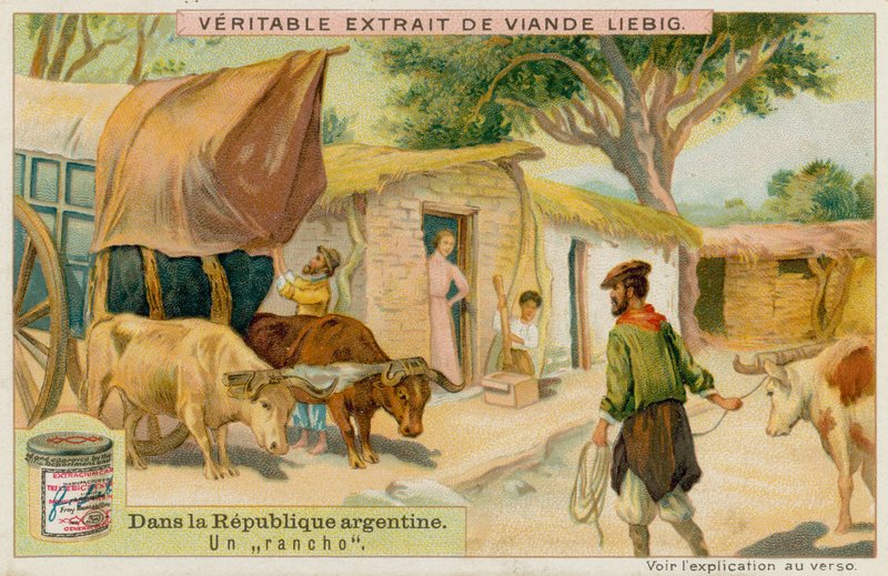 Um rancho de European School