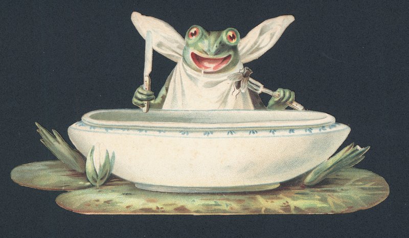 Uma rã a comer uma mosca (litografia a cores) de European School