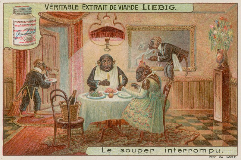 Um jantar de macaco de European School