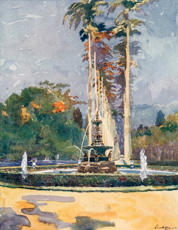 Uma parte da Avenida das Palmeiras Reais, Jardim Botânico (litografia a cores) de European School