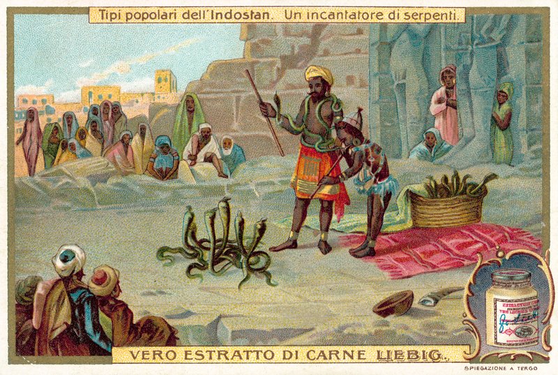 Um encantador de serpentes (chromolitho) de European School