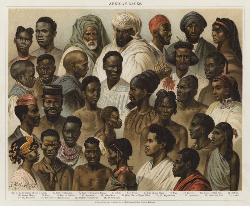 Raças Africanas de European School