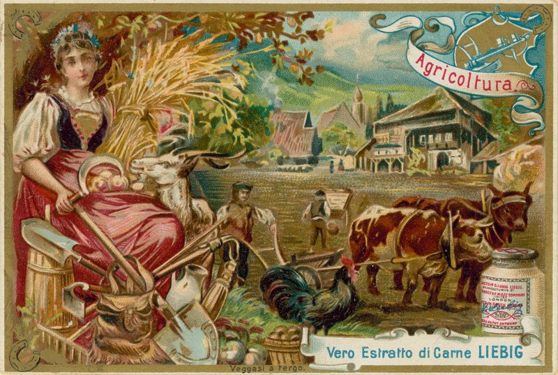 Agricultura de European School