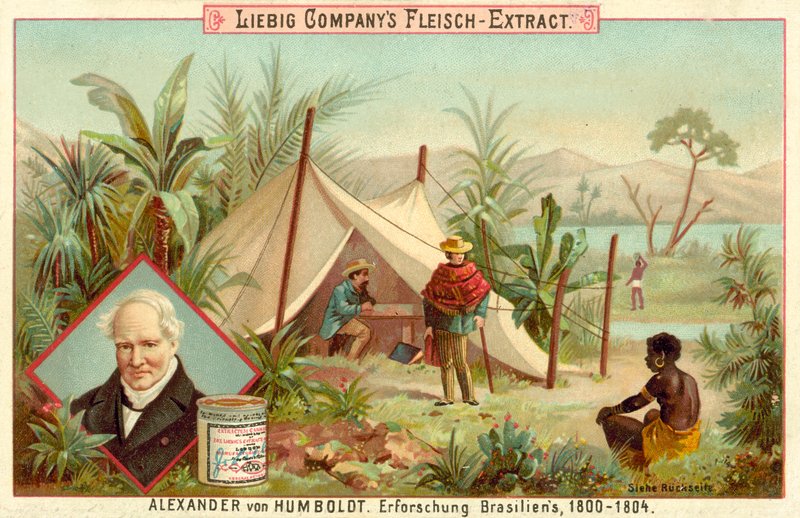 Expedição de Alexander von Humboldts para a América do Sul, 1800-1804 de European School