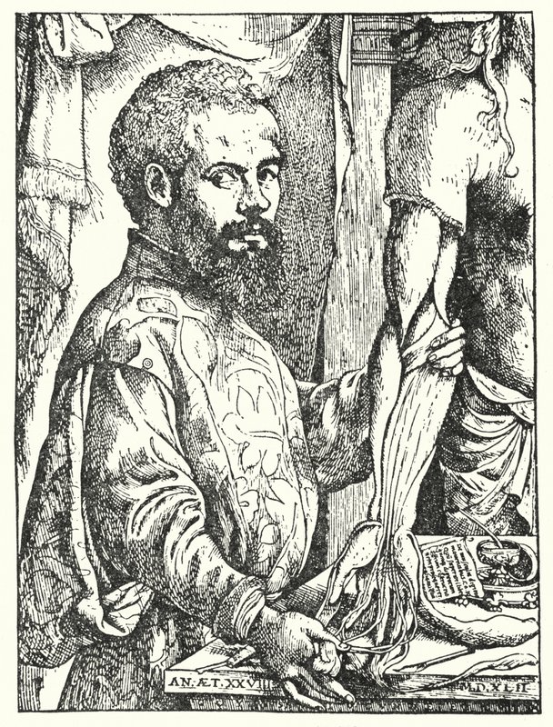 Andreas Vesalius (gravura) de European School