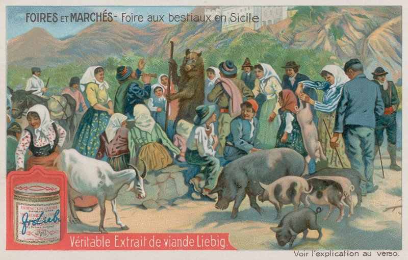 Feira de Animais na Sicília de European School