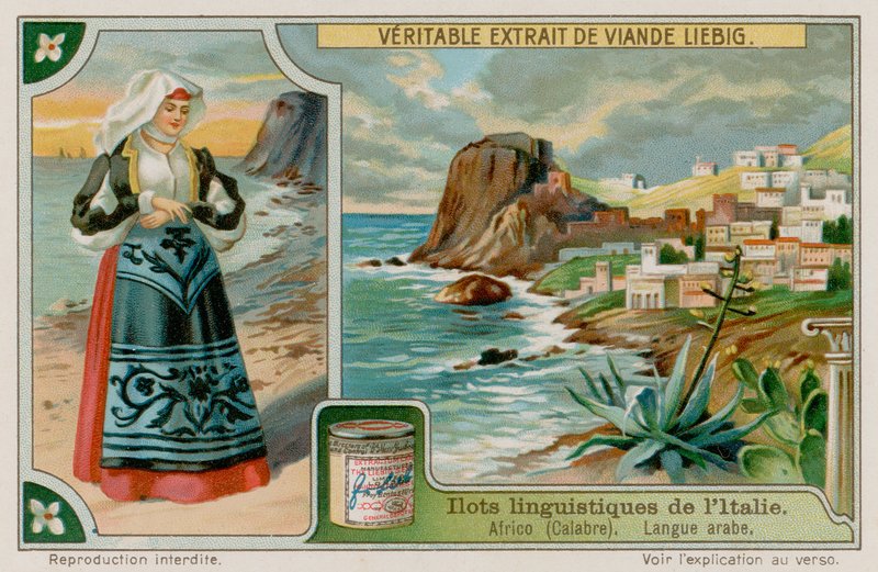 Língua árabe Africo de European School