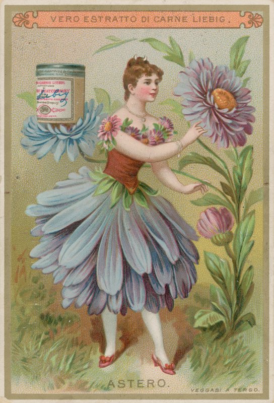 Menina de flor do áster de European School