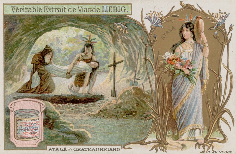 Seção de European School