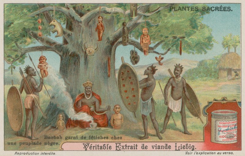 Baobab Tree pendurado com fetiches por uma tribo africana de European School