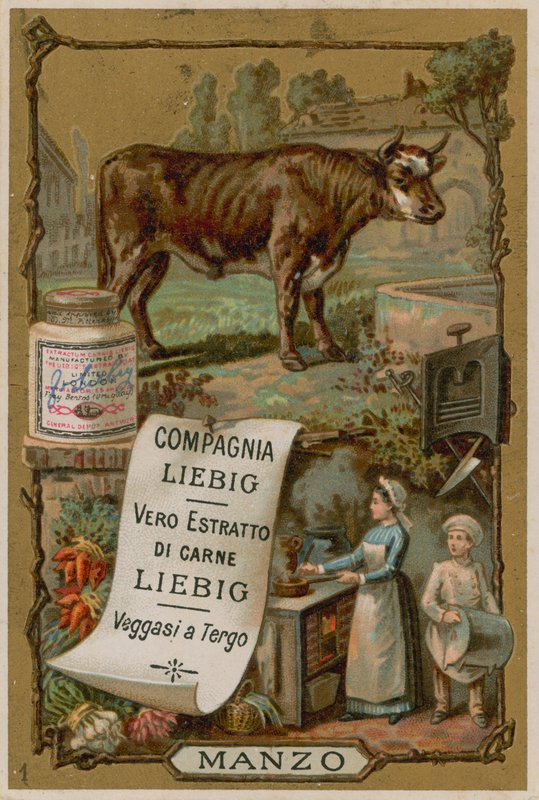 Carne de European School