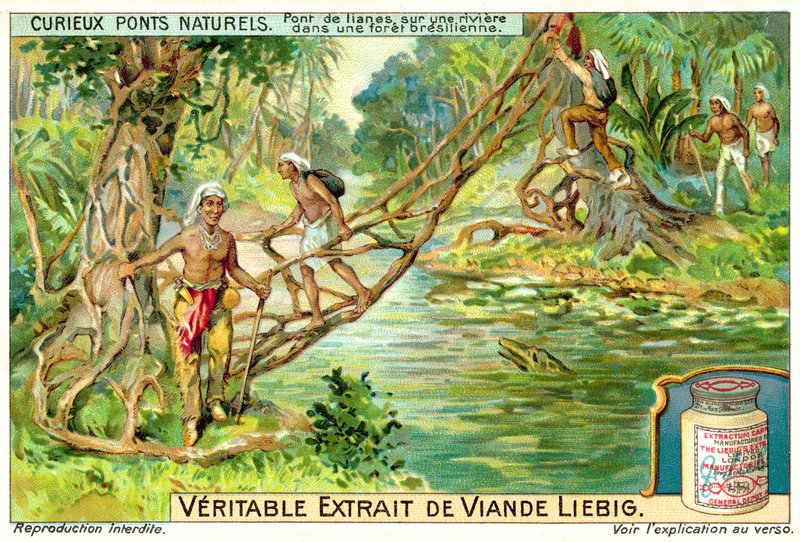 Ponte formada por cipós sobre um rio na floresta tropical brasileira (chromolitho) de European School
