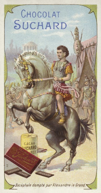 Bucephalus domesticado por Alexandre, o Grande de European School