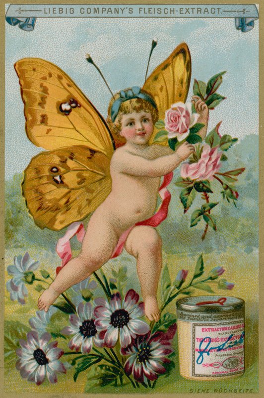 Querubim de borboleta com margaridas de European School