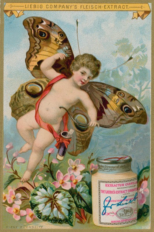 Querubim de borboleta com flores cor de rosa de European School