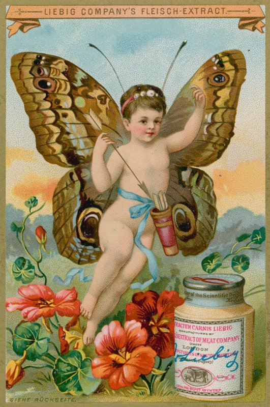 Querubim de borboleta com flores vermelhas de European School