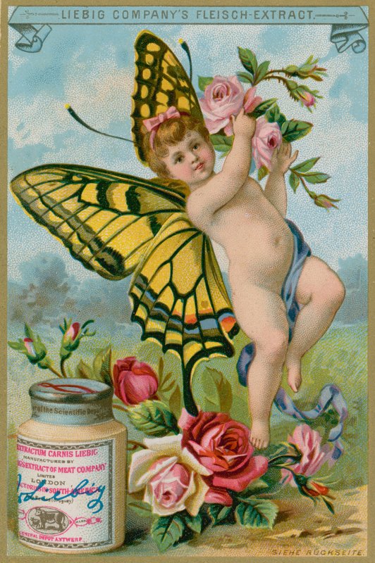 Querubim de borboleta com rosas vermelhas de European School