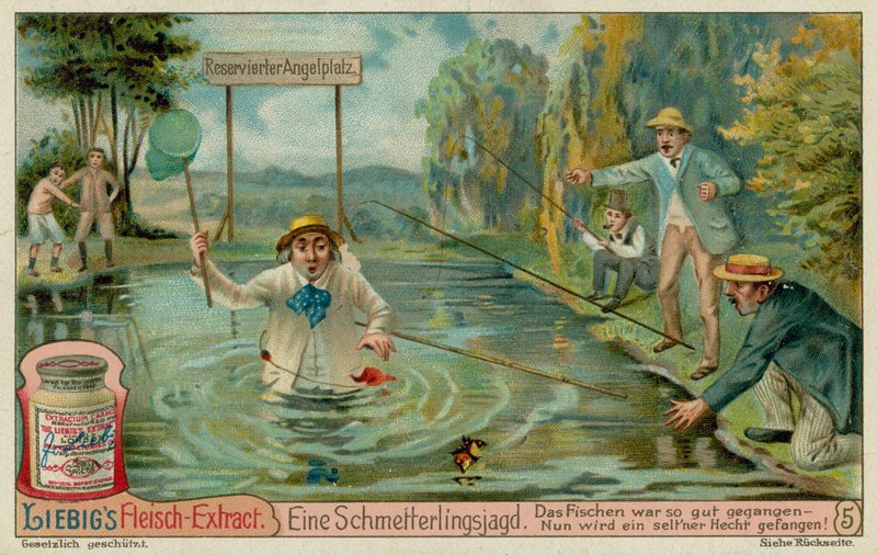 Caça às Borboletas e Pescadores de European School