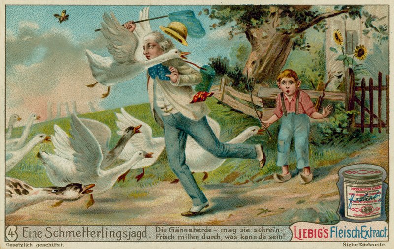 Caça de Borboleta e Gansos de European School