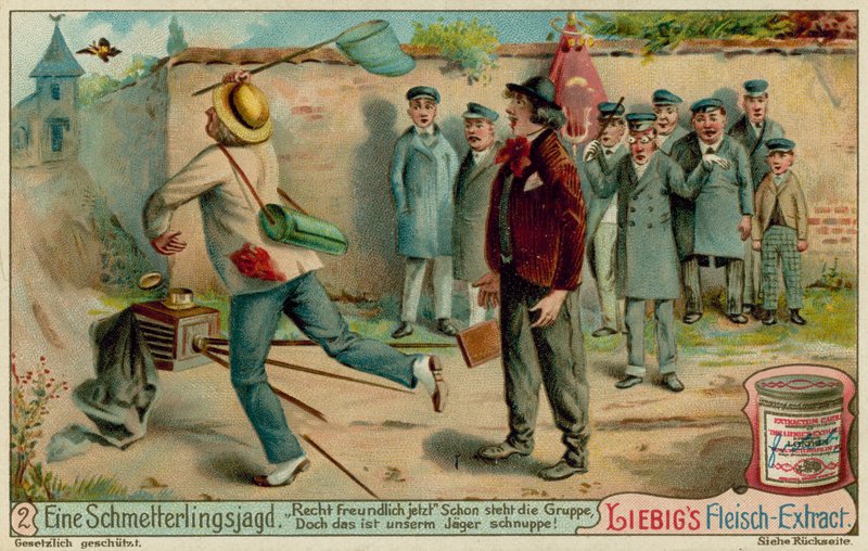 Caça à Borboleta e Fotografia de European School