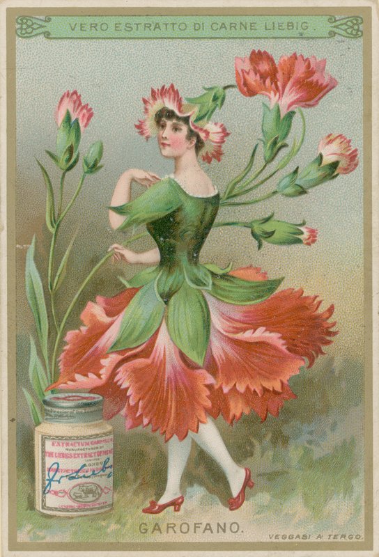 Menina de flor cravo de European School