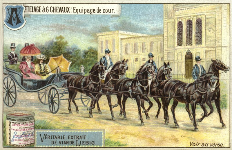 Carruagem puxada por seis cavalos de European School