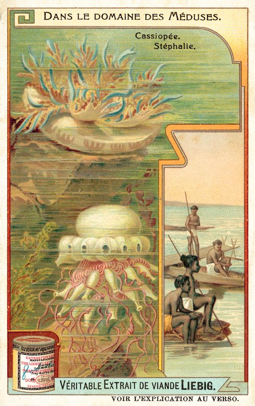 Cassiopéia e Stephalia (cromolitho) de European School