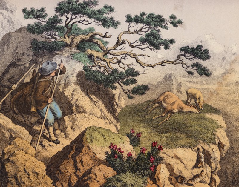Caçadores de camurças dos Alpes, um deles carregando um Ibex (litografia a cores) de European School