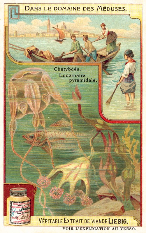 Charybdis e Pyramidal Lucernia (cromolitho) de European School