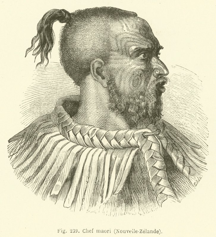 Chefe Maori, Nova Zelândia (gravura) de European School