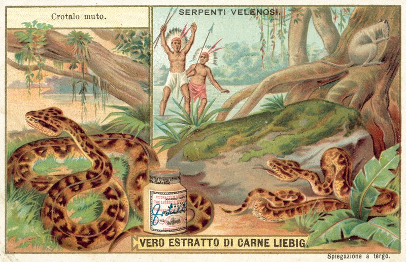 Copperhead (cromolitho) de European School