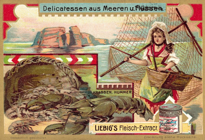 Caranguejo e lagosta (chromolitho) de European School