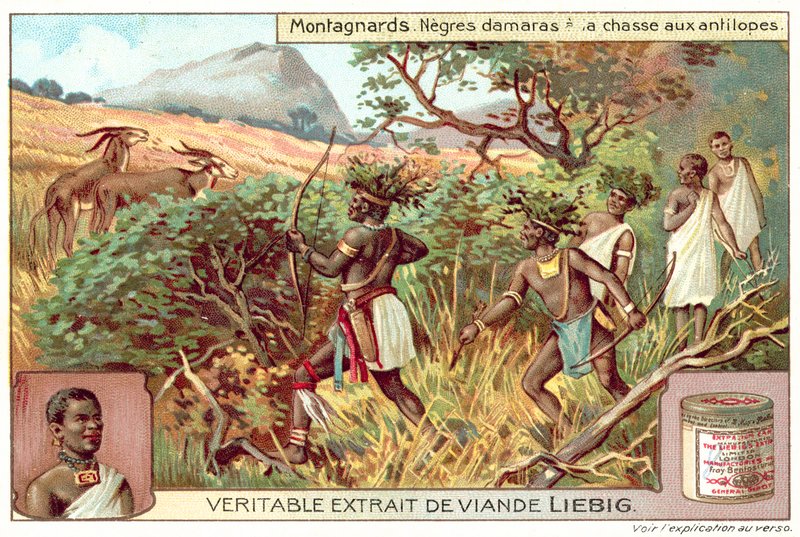 Damaras antílopes de caça (chromolitho) de European School