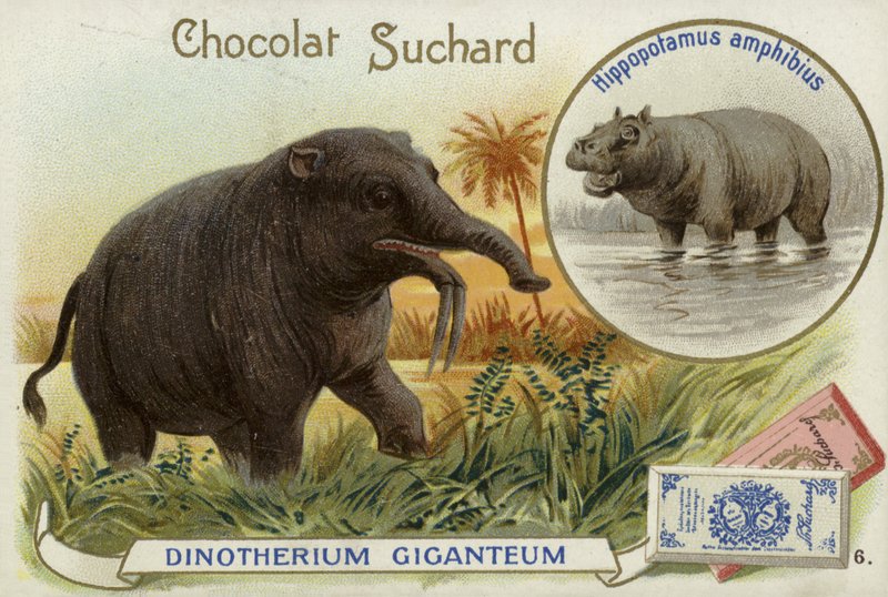 Deinotherium Giganteum e hipopótamo de European School