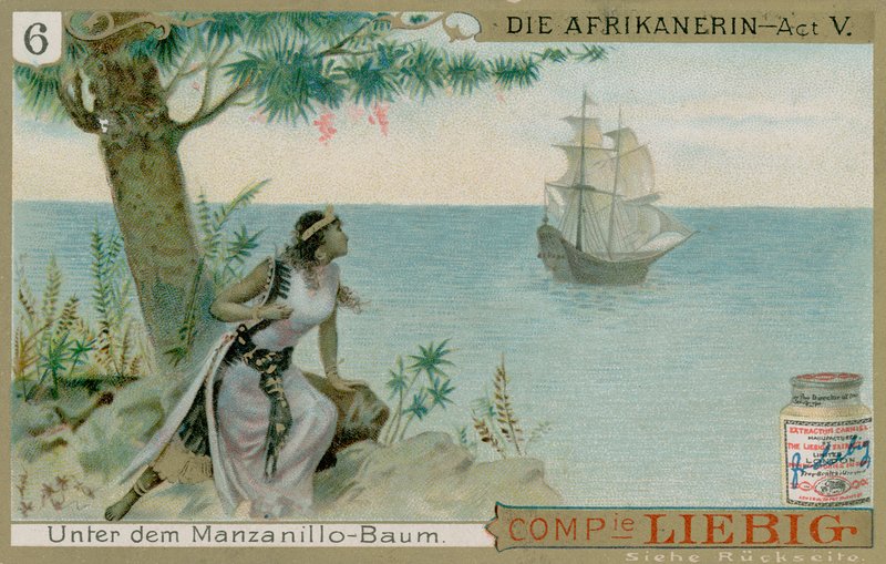 O Afrikanerin: Ato 5 de European School