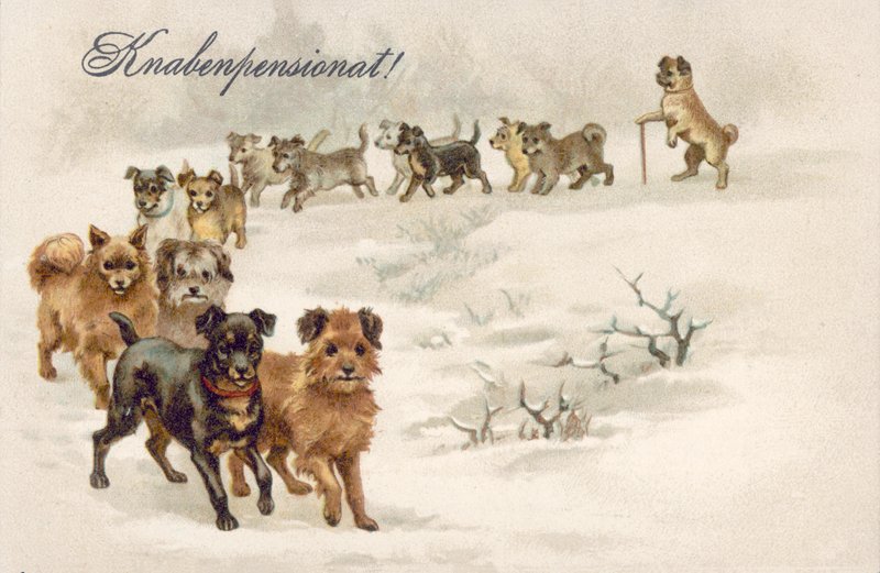 Postal de cão (litografia a cores) de European School