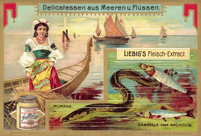 Enguia, sardinha e biqueirão (chromolitho) de European School