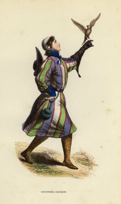 Falconer alemão (gravura a cores) de European School