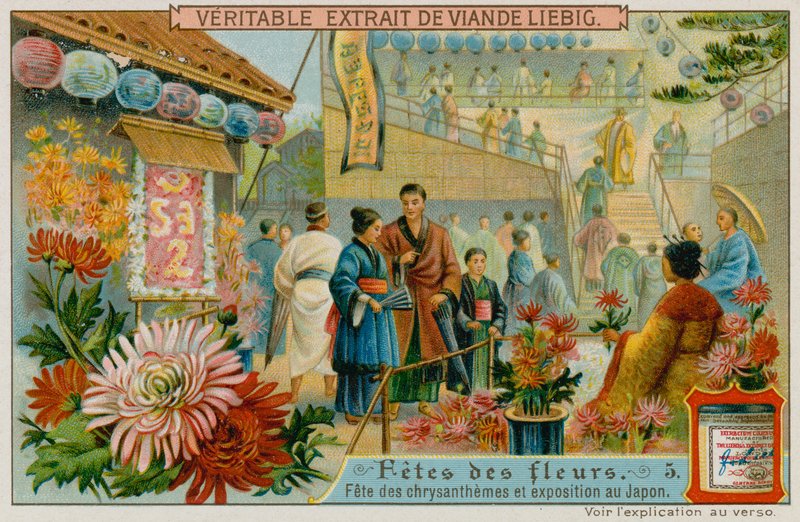 Festivais dos Chrysanthamums no Japão de European School