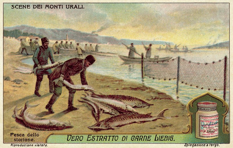Pesca ao esturjão (chromolitho) de European School