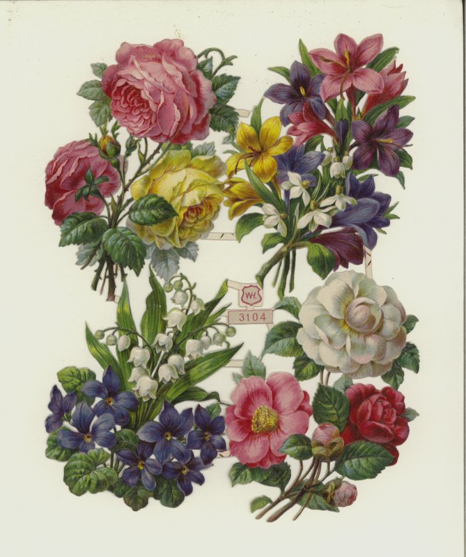 Flores (chromolitho) de European School