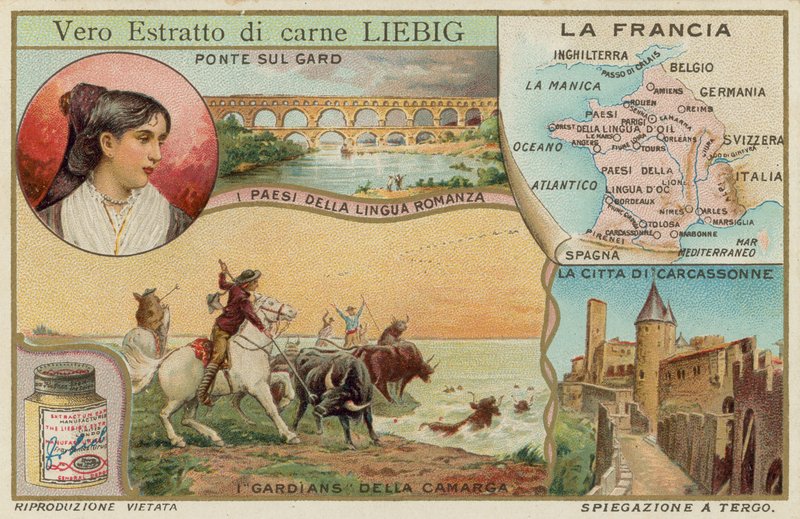 França de European School