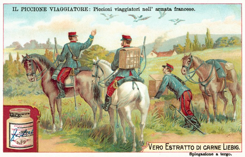 Pombos-correio do exército francês (chromolitho) de European School