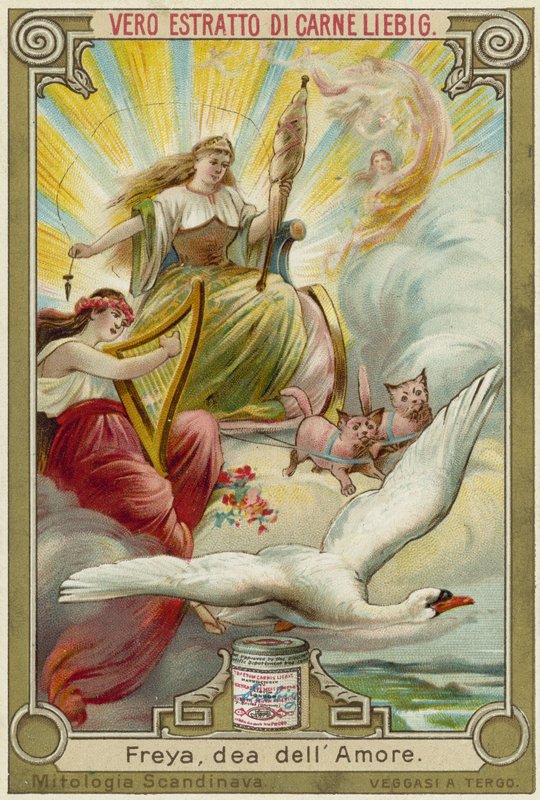 Freyja, deusa do amor de European School