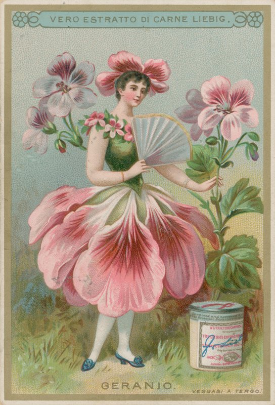 Menina de flor de gerânio de European School