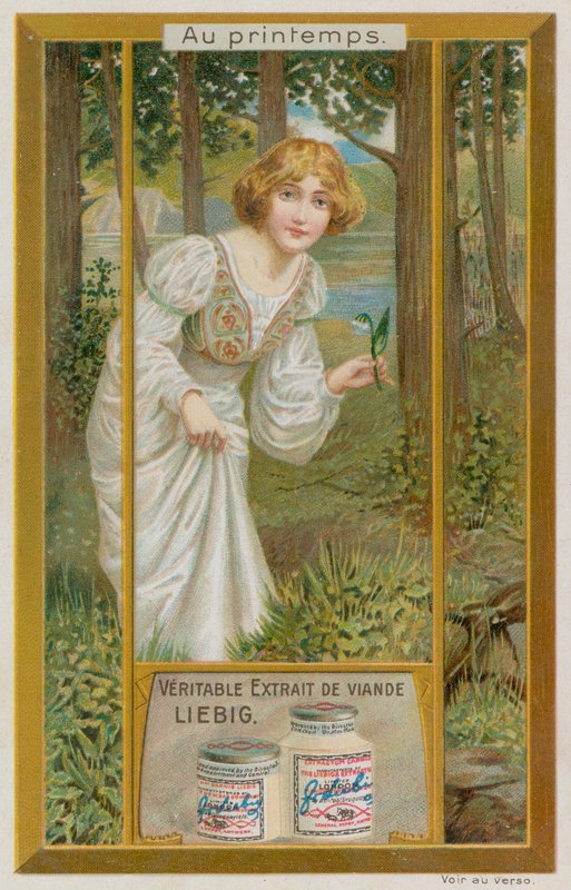 Menina com snowdrops de European School