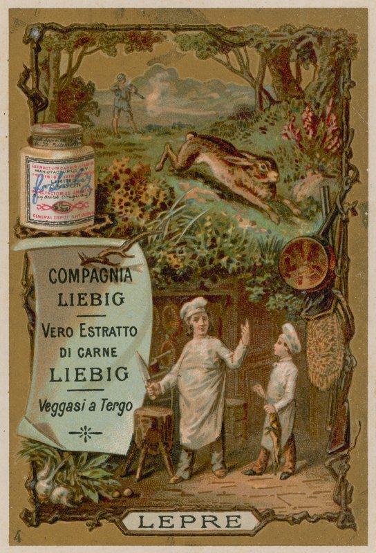 Lebre de European School