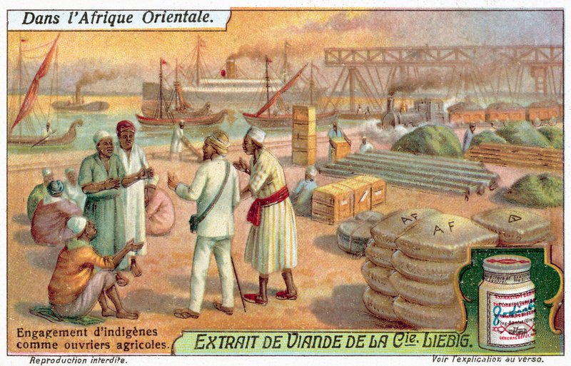 Contratação de trabalhadores agrícolas nativos (chromolitho) de European School