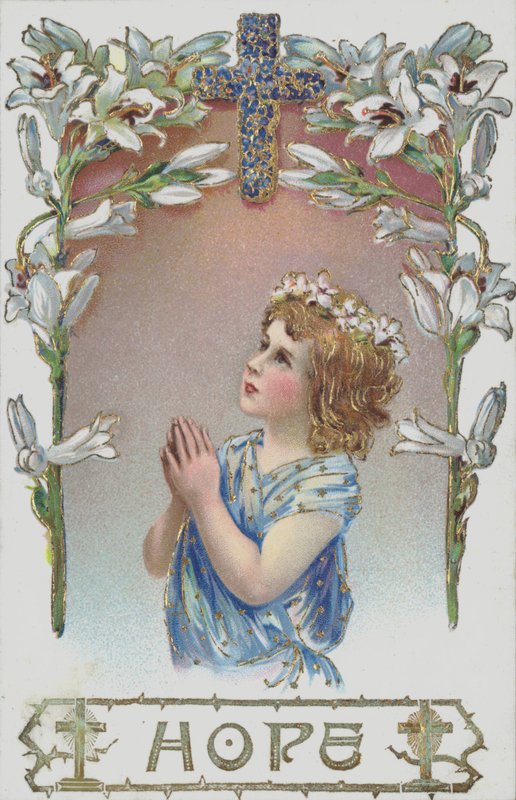 Esperança de European School
